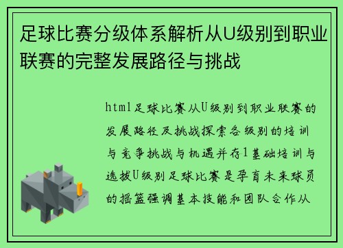 足球比赛分级体系解析从U级别到职业联赛的完整发展路径与挑战