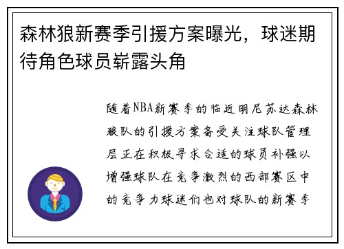 森林狼新赛季引援方案曝光，球迷期待角色球员崭露头角