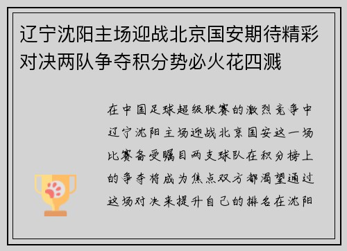 辽宁沈阳主场迎战北京国安期待精彩对决两队争夺积分势必火花四溅