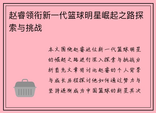 赵睿领衔新一代篮球明星崛起之路探索与挑战