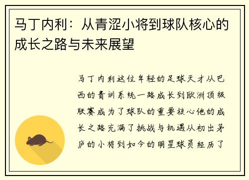 马丁内利：从青涩小将到球队核心的成长之路与未来展望