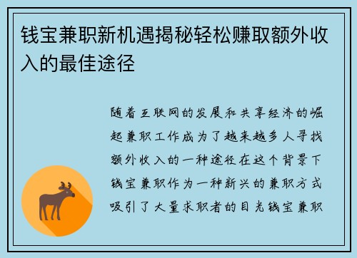 钱宝兼职新机遇揭秘轻松赚取额外收入的最佳途径