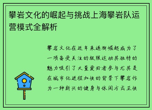 攀岩文化的崛起与挑战上海攀岩队运营模式全解析