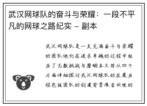 武汉网球队的奋斗与荣耀：一段不平凡的网球之路纪实 - 副本